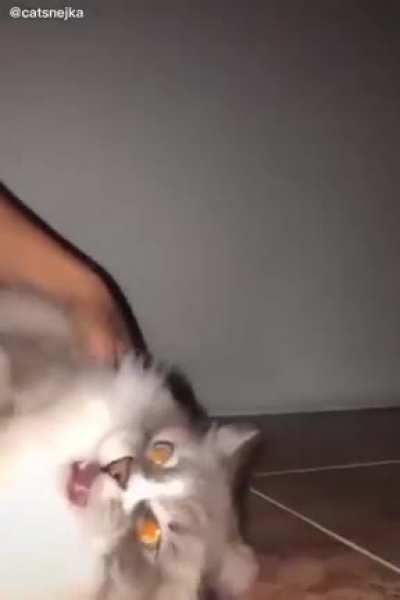UWU