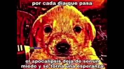 Confirmo