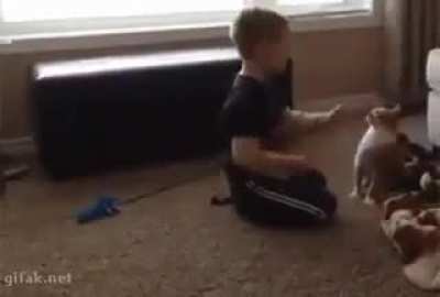 don&rsquo;t mess with the cat