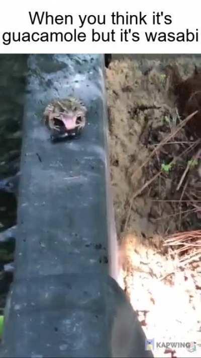 Be gone