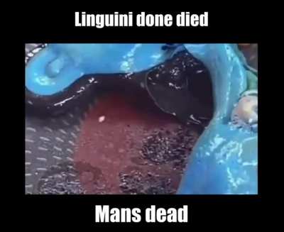 Mama linguini