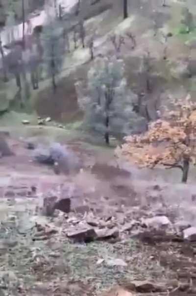Fuck that tree in particular 