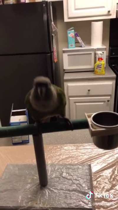 I&rsquo;m not sure why Ino loves my singing... but here it is. (Song is Morphine by Alec King if y&rsquo;all are curious)