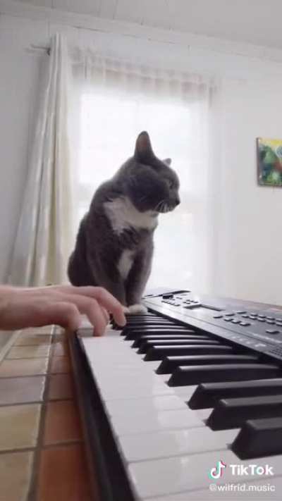 Can&rsquo;t get off your keyboard? Improvise