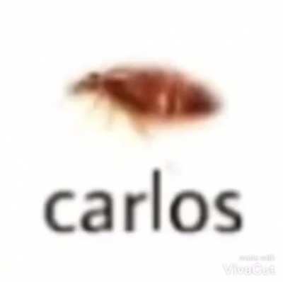 carlos em alta qualidade