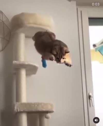 I almost made it!