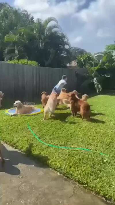 Kevin&acirc;s Fun Day