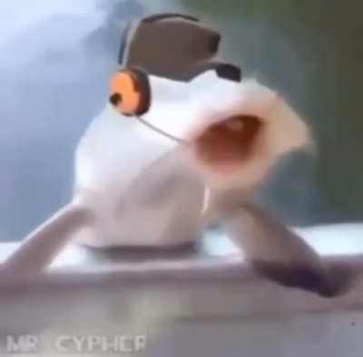 SCOUT FISH