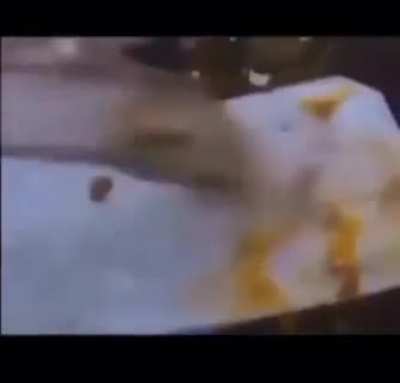 Cursed_???