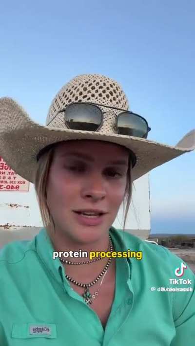 Poor cattle farmers can&rsquo;t find anywhere to process their beef.