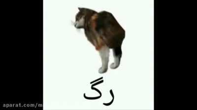 این چه کوفته .m.k.m