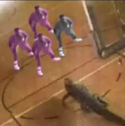 cool alligator moment