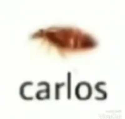 ﾠ