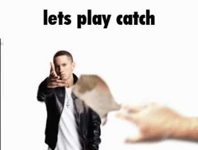 rat
