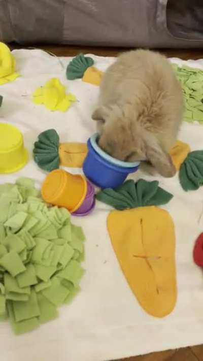 He’s ready to go to the Olympics of stacking cups lol