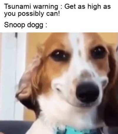 Don't mind if I do
