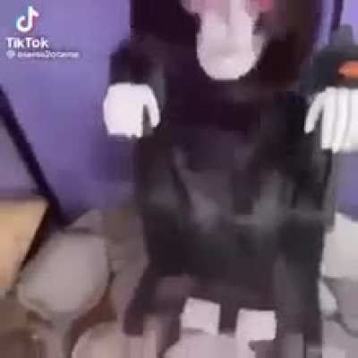 Nice haircut