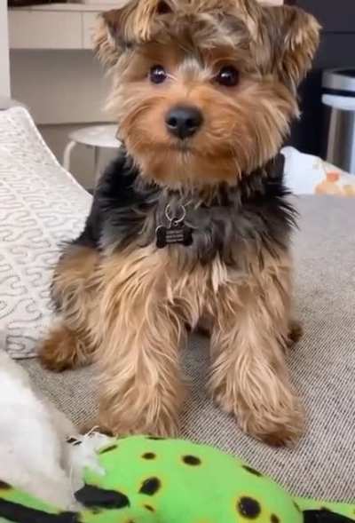 He waiting