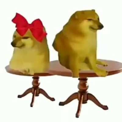 ZA ZA ZA