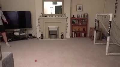 FFs, I just can't score...Brilliant, Kitty playing goalkeeper.....Purrrrps!!!