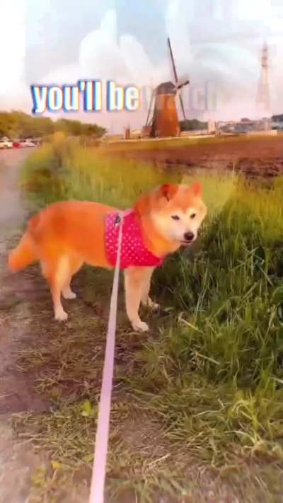 :3