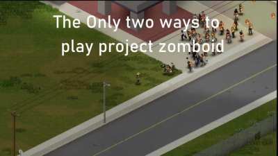 There are only two ways you play project zomboid, there is nothing in between
