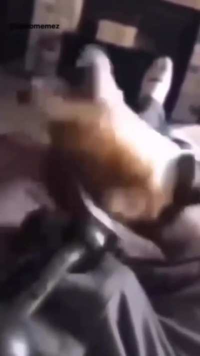 Woof...