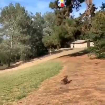 Beach ball skillz