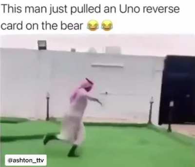 Playing tag with a bear!