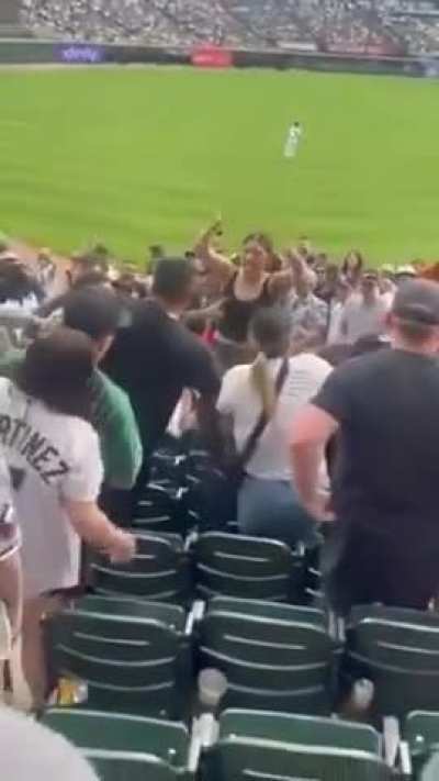 Baseball brawl