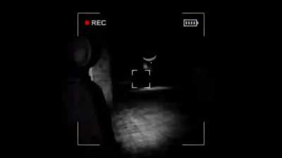 it was not a shadow