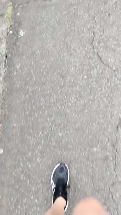 These beauty are out for their daily walk!