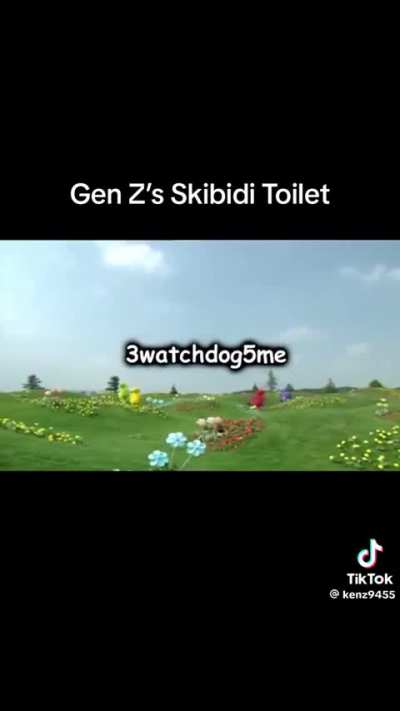 Gen Z’s Skibidi Toliet
