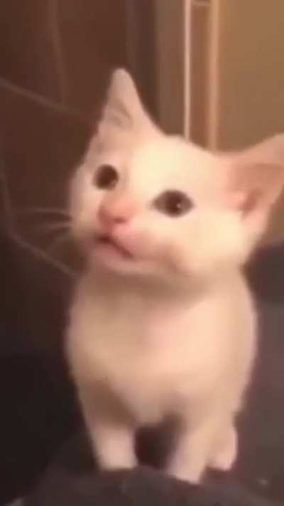 Title