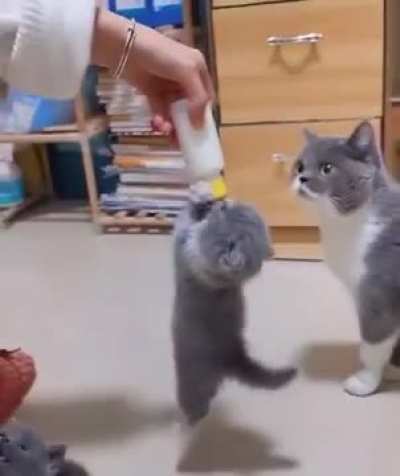 dis mine