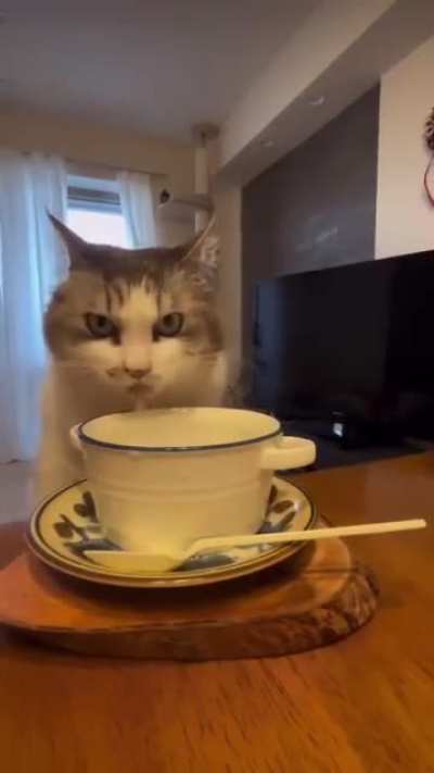It&rsquo;s judging you while drinking his milk