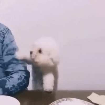 Hey I want that...
