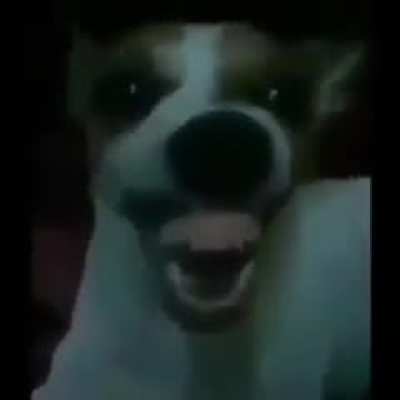 * risa *