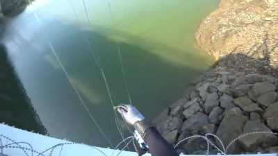 wordington fishing