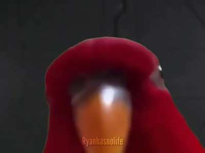 HEY!