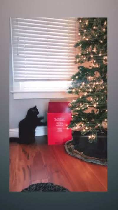 Does he love or hate the holidays?
