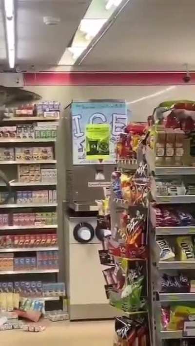Godzilla