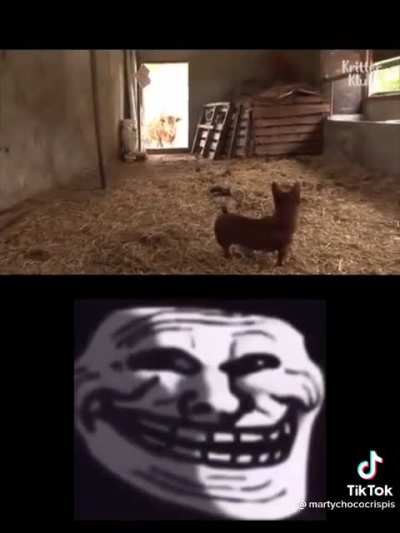😢