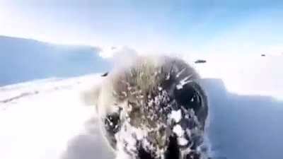 "Ehhhhhhh"