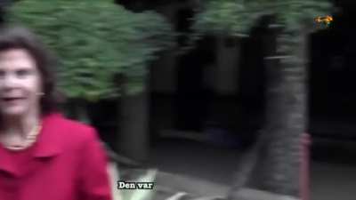 The king of Sweden pauses interview because he sees a cute kitty! (Translation in comments)