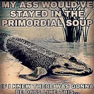 It do be like that sometimes