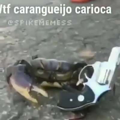 kkkkkkkkk