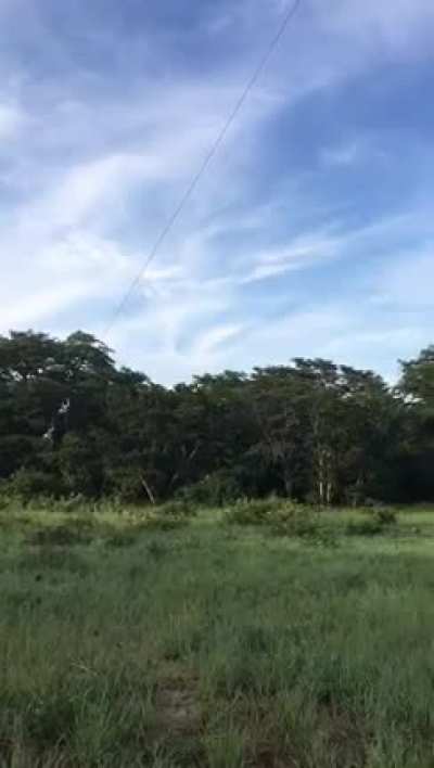 Zipline