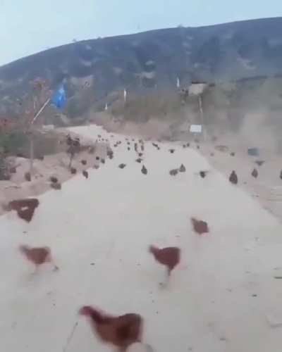 Cafeler a&ccedil;ılıyorrrr