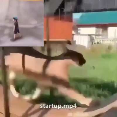 Shitpost
